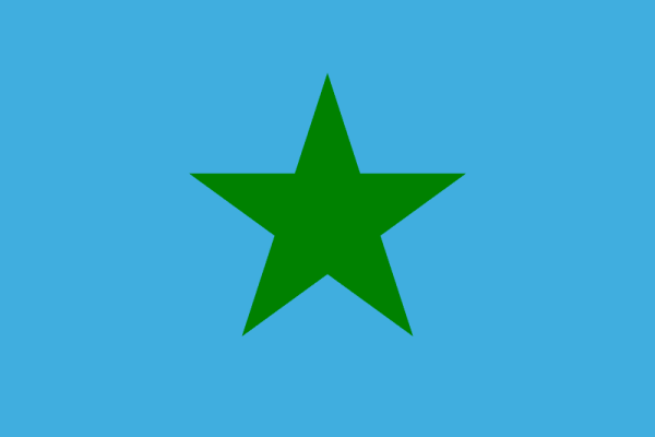 Флаг восстания 1980 года