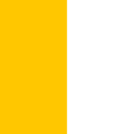 Флаг Ватикана 1808-1878 годы