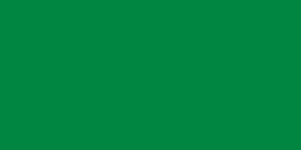 Флаг Ливии 1977-2011 годы