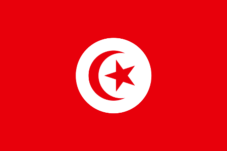 Флаг Туниса с 1831 года
