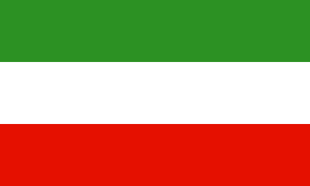 Болгарская Легия флаг
