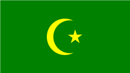 Флаг 1878 года