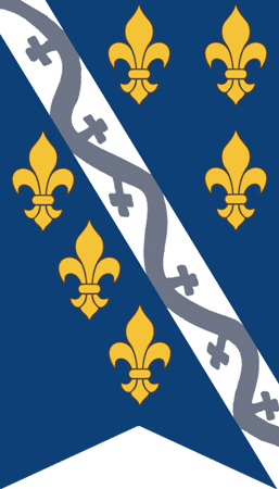 знамя Боснийского королевства 14 век